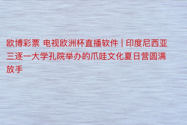 欧博彩票 电视欧洲杯直播软件 | 印度尼西亚三逐一大学孔院举办的爪哇文化夏日营圆满放手