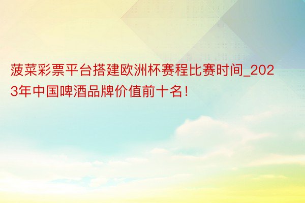 菠菜彩票平台搭建欧洲杯赛程比赛时间_2023年中国啤酒品牌价值前十名！