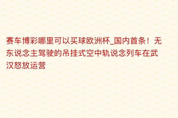 赛车博彩哪里可以买球欧洲杯_国内首条！无东说念主驾驶的吊挂式空中轨说念列车在武汉怒放运营